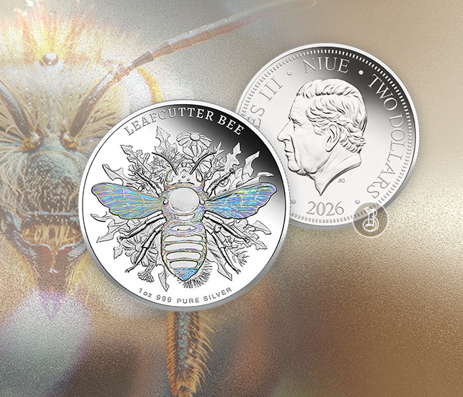 Австралийская фауна в современной трактовке