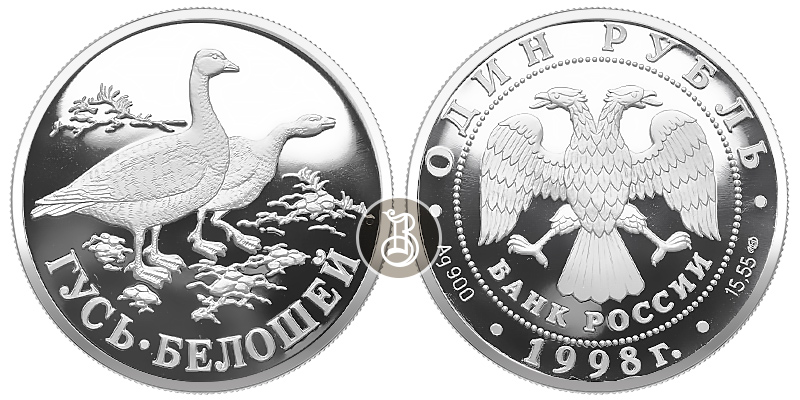 Гусь белошей, Красная книга, серебро, 1 рубль, Россия, 1998