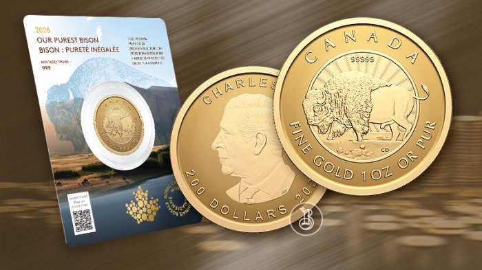 Канадский Бизон как воплощение чистоты металла