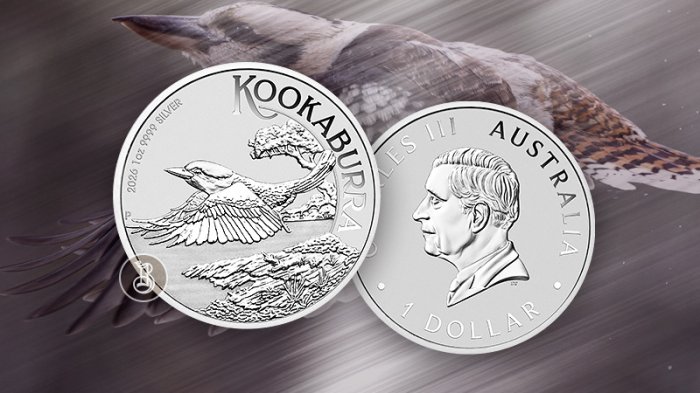 Новый взлет Кукабарры