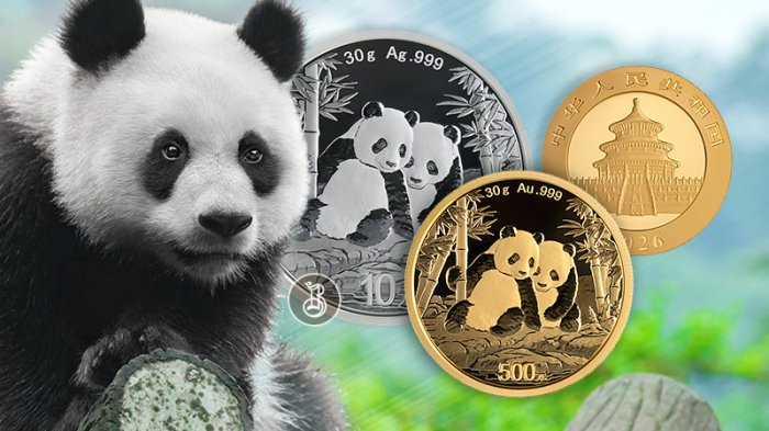 Популярная монета в новом году