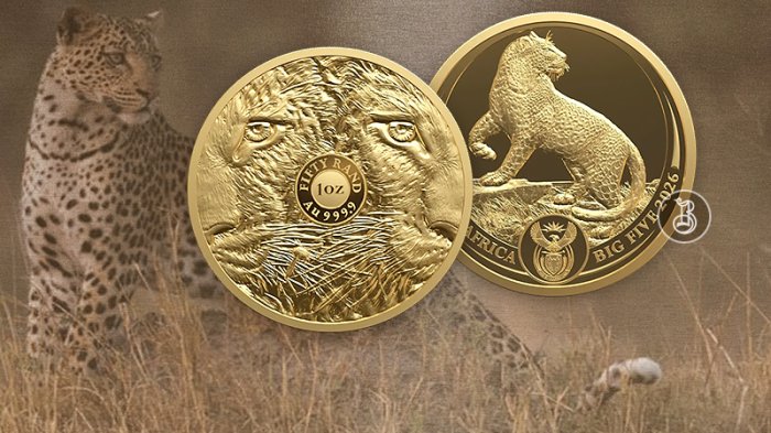 Золотая кошка саванны