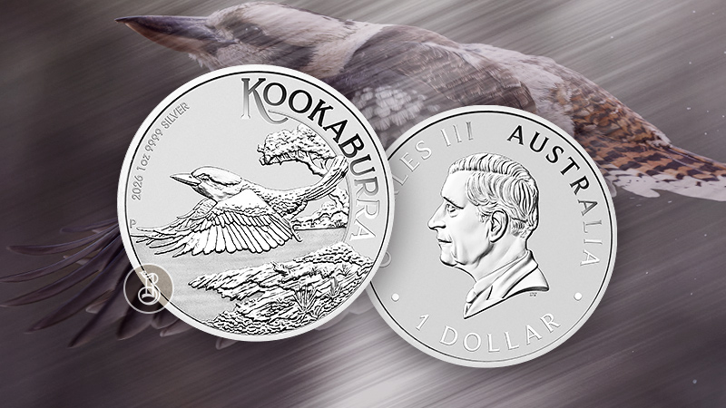 Новый взлет Кукабарры Новый взлет Кукабарры