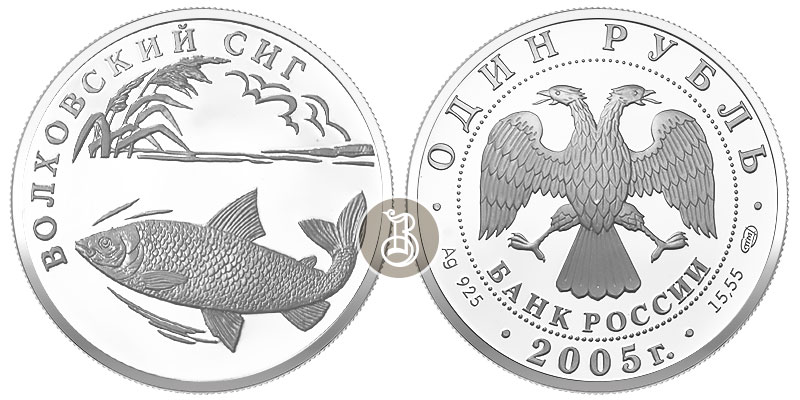 Волховский сиг, серебро, 1 рубля, Россия, 2005 г.