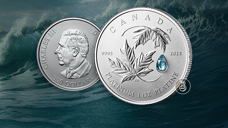 Кленовый лист с частицей моря Кленовый лист с частицей моря