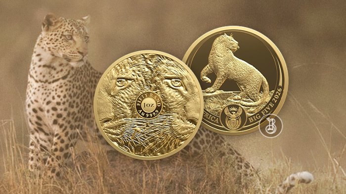 Золотая кошка саванны