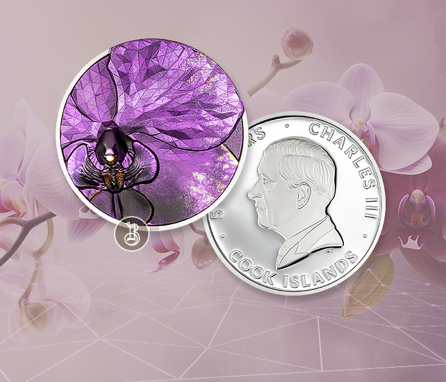 Классическая элегантность в чистейшем серебре