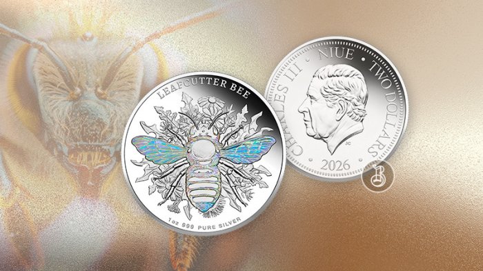 Австралийская фауна в современной трактовке