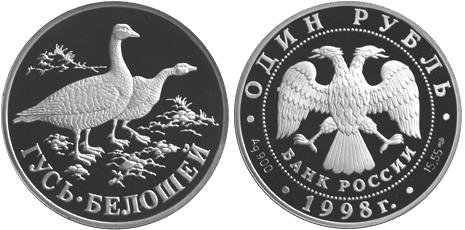 Гусь белошей, Красная книга, серебро, 1 рубль, Россия, 1998