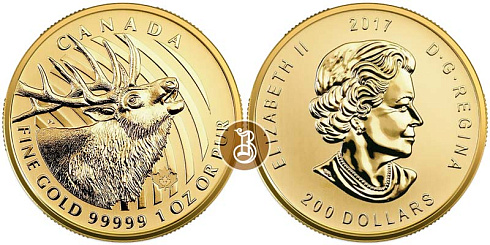 Монета Ревущий олень. 1 унция