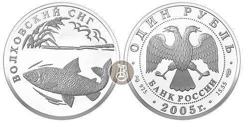 Монета Волховский сиг