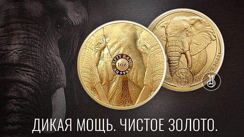 Монета Африканский слон. 1 унция