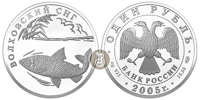 Волховский сиг, серебро, 1 рубля, Россия, 2005 г.